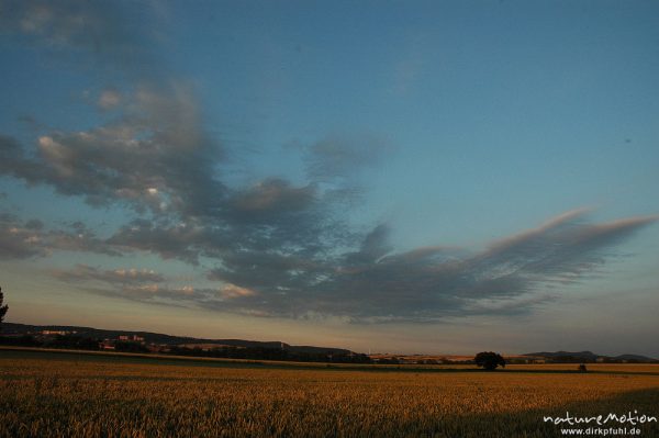Weizenfeld und Abendwolken, Niedernjesa, Göttingen, Deutschland