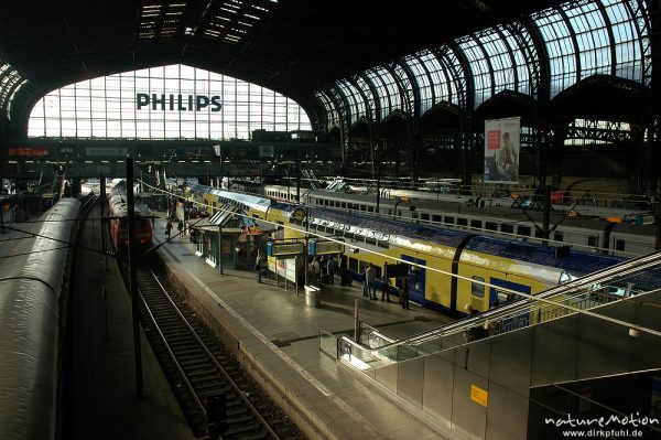 Bahnhofshalle von Hamburg, Bahnsteige, Nahverkehrszüge, Hamburg, Deutschland