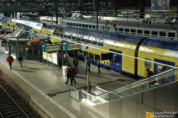 Bahnhofshalle von Hamburg, Bahnsteige, Nahverkehrszüge, Hamburg, Deutschland