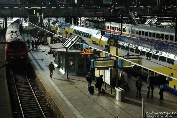 Bahnhofshalle von Hamburg, Bahnsteige, Nahverkehrszüge, Hamburg, Deutschland
