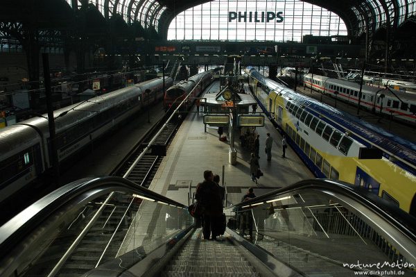 Bahnhofshalle von Hamburg, Rolltreppe zum Bahnsteig, Nahverkehrszüge, Hamburg, Deutschland