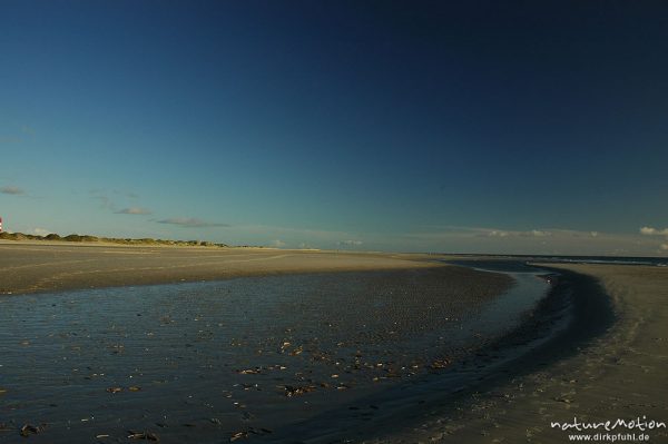 Priel im Abendlicht, Amrum, Amrum, Deutschland