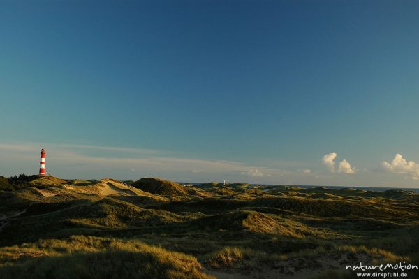 Leuchtturm im Abendlicht, Dünen, Amrum, Amrum, Deutschland