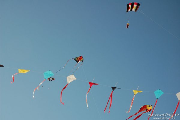 Drachen an blauem Himmel, Strand von Amrum, Amrum, Deutschland