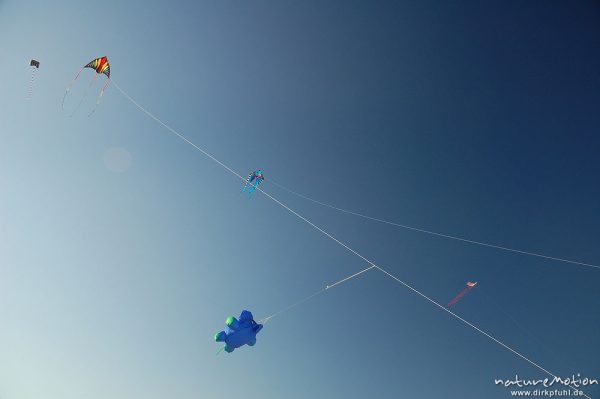 Drachen an blauem Himmel, Strand von Amrum, Amrum, Deutschland