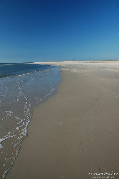 Strand mit Wasserlinie, Amrum, Amrum, Deutschland