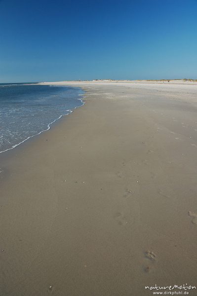 Strand mit Wasserlinie, Fußspuren, Amrum, Amrum, Deutschland