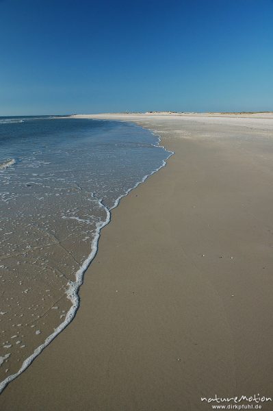 Strand mit Wasserlinie,  Amrum, Amrum, Deutschland