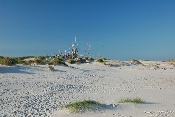 Kunstwerke aus Treibgut, Amrum, Amrum, Deutschland