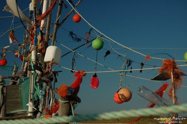 Kunstwerke aus Treibgut, Amrum, Amrum, Deutschland