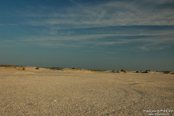 Dünen und muschelbedeckter Sand, Amrum, Amrum, Deutschland