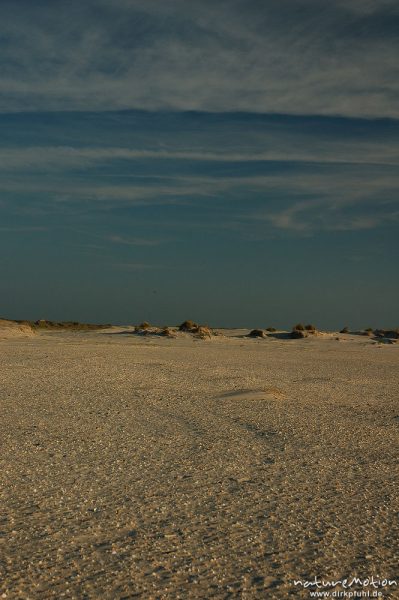 Dünen und muschelbedeckter Sand, Amrum, Amrum, Deutschland
