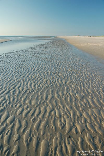 Rippel und Küstenlinie, Amrum, Amrum, Deutschland