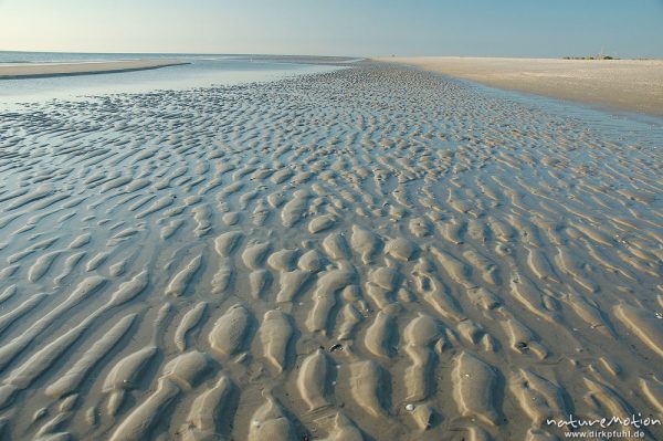 Rippel und Küstenlinie, Amrum, Amrum, Deutschland