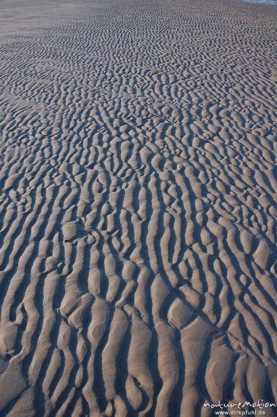 Rippelmuster, Amrum, Amrum, Deutschland