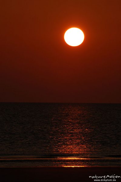 Sonnenuntergang über dem Meer, Amrum, Amrum, Deutschland