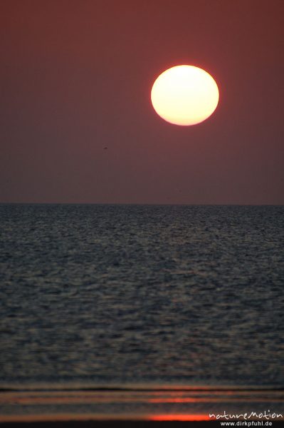 Sonnenuntergang über dem Meer, Amrum, Amrum, Deutschland