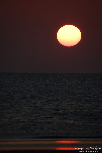 Sonnenuntergang über dem Meer, Amrum, Amrum, Deutschland