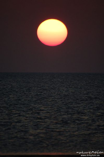 Sonnenuntergang über dem Meer, Amrum, Amrum, Deutschland