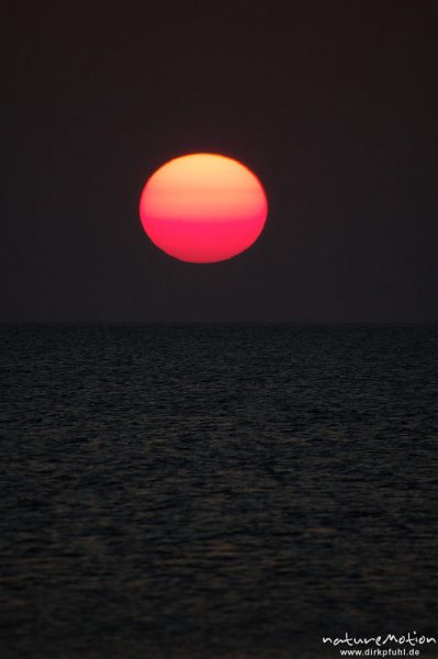 Sonnenuntergang über dem Meer, Amrum, Amrum, Deutschland