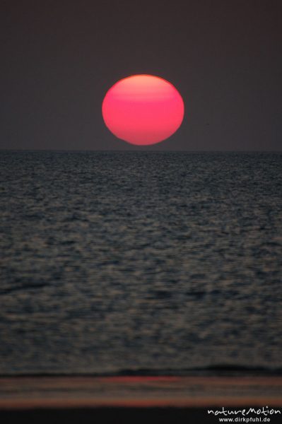 Sonnenuntergang über dem Meer, Amrum, Amrum, Deutschland