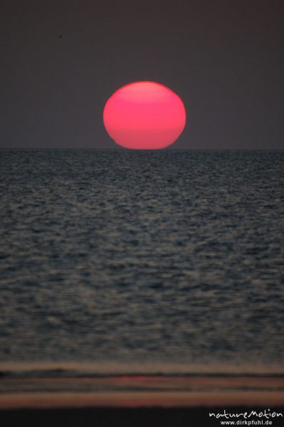 Sonnenuntergang über dem Meer, Amrum, Amrum, Deutschland