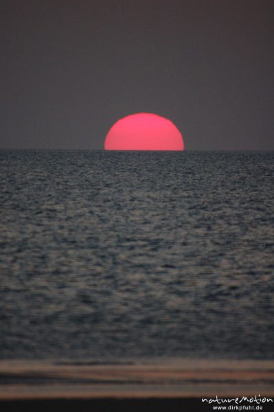 Sonnenuntergang über dem Meer, Amrum, Amrum, Deutschland