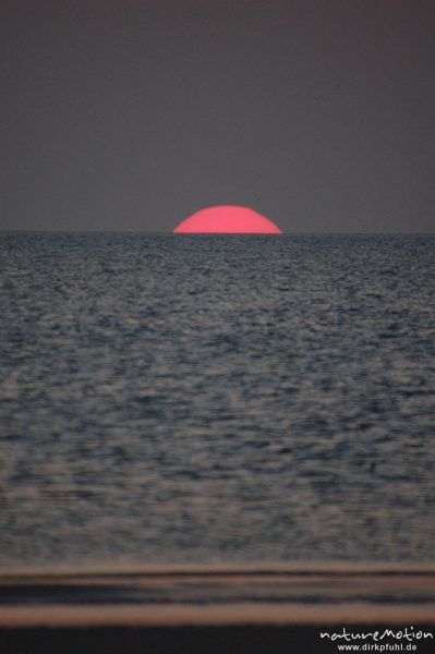 Sonnenuntergang über dem Meer, Amrum, Amrum, Deutschland