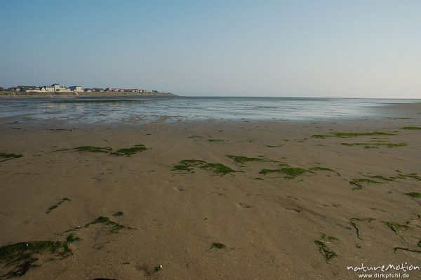 Strand bei Wittdün, Ebbe, Tang, Amrum, Amrum, Deutschland