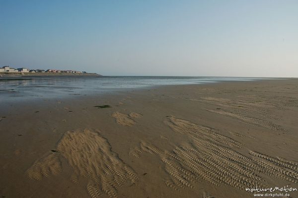 Strand bei Wittdün, Ebbe, Tang, Amrum, Amrum, Deutschland