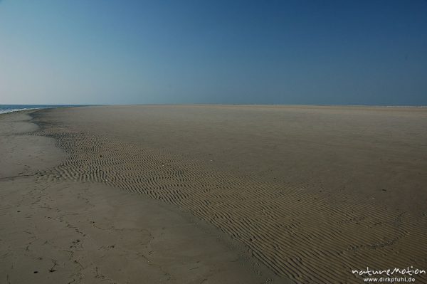 Strand und Küstenlinie bei Ebbe, Amrum, Amrum, Deutschland