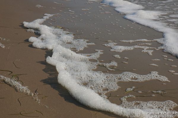 Meerschaum und Seegras, Amrum, Amrum, Deutschland