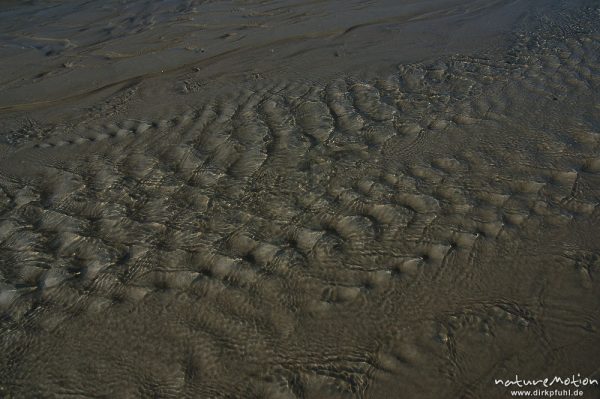 ablaufendes Wasser, Priel, Amrum, Amrum, Deutschland