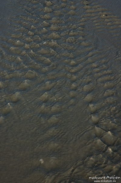 ablaufendes Wasser, Priel, Amrum, Amrum, Deutschland