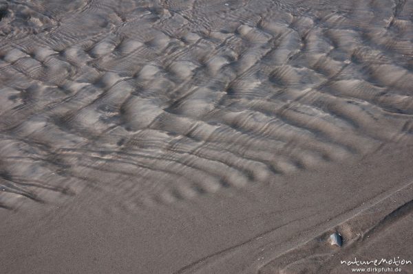 ablaufendes Wasser, Priel, Amrum, Amrum, Deutschland