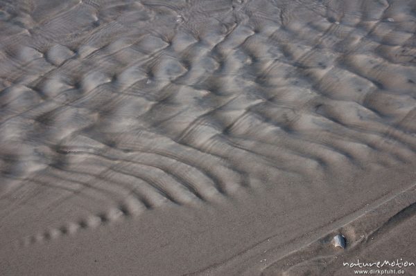 ablaufendes Wasser, Priel, Amrum, Amrum, Deutschland