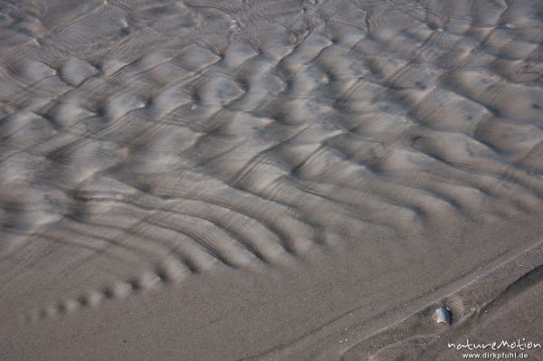 ablaufendes Wasser, Priel, Amrum, Amrum, Deutschland