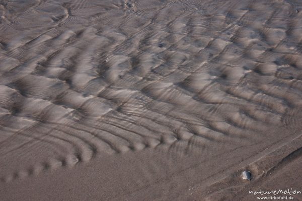 ablaufendes Wasser, Priel, Amrum, Amrum, Deutschland