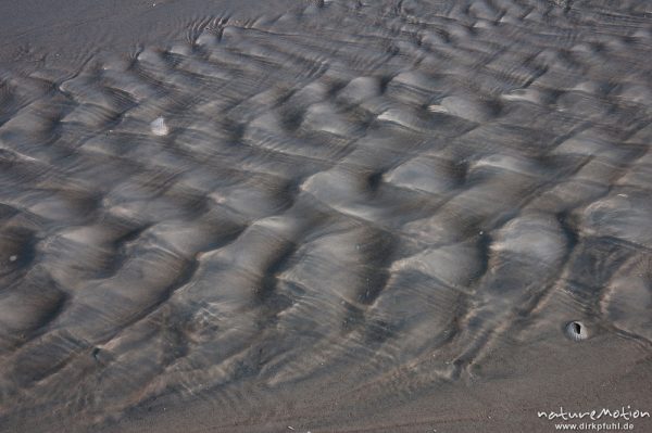 ablaufendes Wasser, Priel, Amrum, Amrum, Deutschland