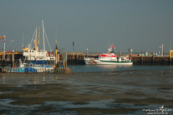 Seenorrettungskreuzer im Hafen von Steenodde, Amrum, Morgenlicht, Ebbe, Amrum, Deutschland