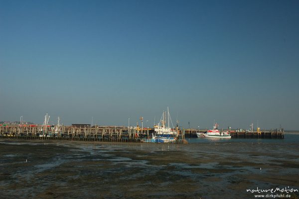 Seenorrettungskreuzer im Hafen von Steenodde, Amrum, Morgenlicht, Ebbe, Amrum, Deutschland