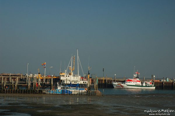 Seenorrettungskreuzer im Hafen von Steenodde, Amrum, Morgenlicht, Ebbe, Amrum, Deutschland