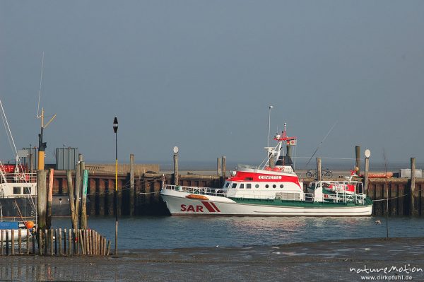 Seenorrettungskreuzer im Hafen von Steenodde, Amrum, Morgenlicht, Ebbe, Amrum, Deutschland