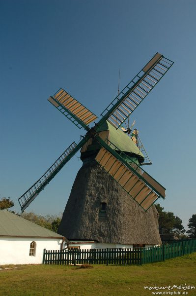 Windmühle, restauriert, reetgedeckt, Heimatmuseum von Nebel, Amrum, Amrum, Deutschland