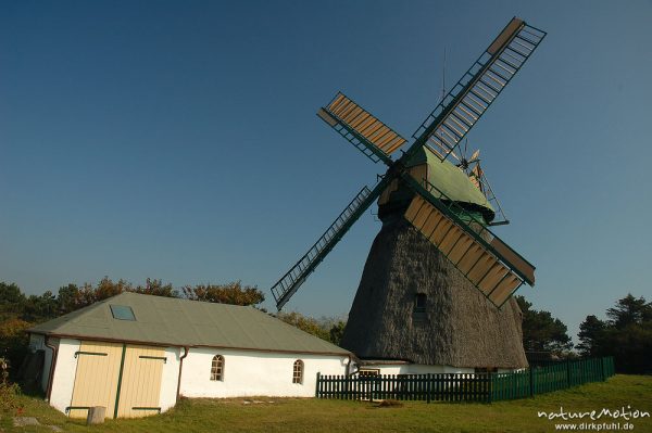 Windmühle, restauriert, reetgedeckt, Heimatmuseum von Nebel, Amrum, Amrum, Deutschland