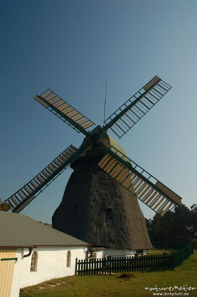 Windmühle, restauriert, reetgedeckt, Heimatmuseum von Nebel, Amrum, Amrum, Deutschland