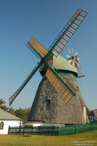 Windmühle, restauriert, reetgedeckt, Heimatmuseum von Nebel, Amrum, Amrum, Deutschland