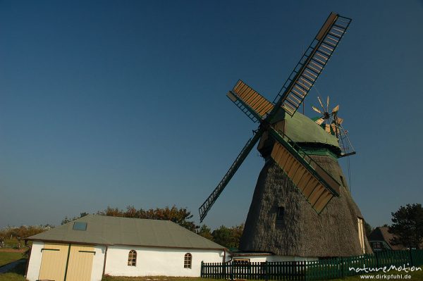 Windmühle, restauriert, reetgedeckt, Heimatmuseum von Nebel, Amrum, Amrum, Deutschland