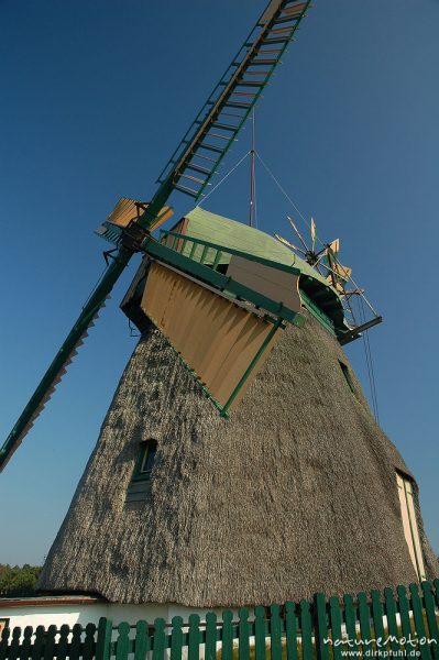 Windmühle, restauriert, reetgedeckt, Heimatmuseum von Nebel, Amrum, Amrum, Deutschland