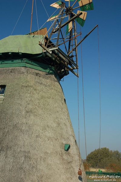 Windmühle, restauriert, reetgedeckt, Heimatmuseum von Nebel, Amrum, Amrum, Deutschland